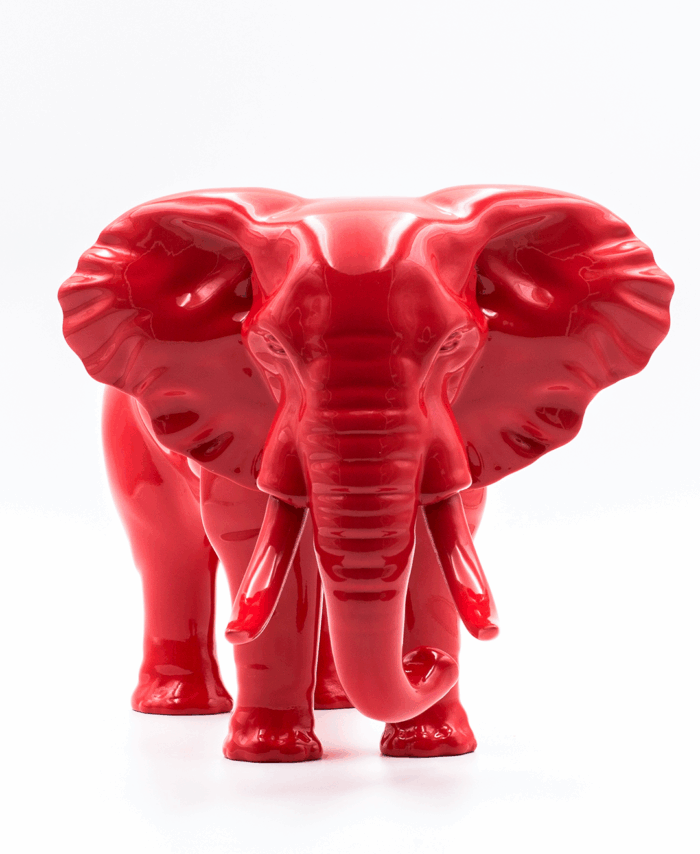 Elefante Oscar